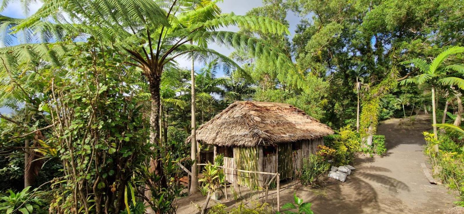 Tanna Lava View Bungalows Lénakel Exterior photo